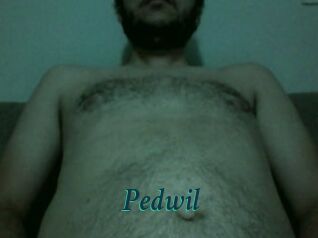 Pedwil