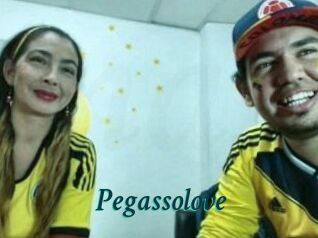 Pegasso_love