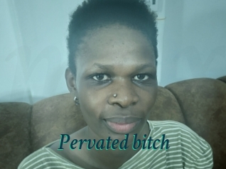 Pervated_bitch