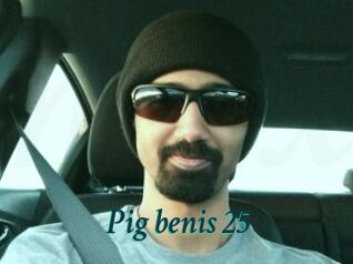 Pig_benis_25