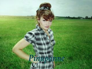 Pinupanne