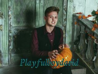 Playfulboydavid