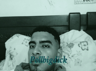 Pollbigdick