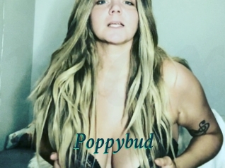 Poppybud