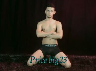 Price_big23