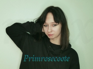 Primrosecoote