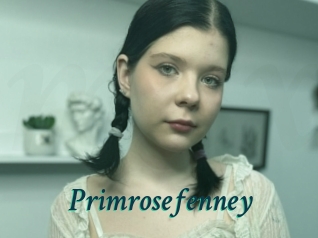 Primrosefenney