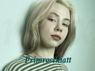 Primrosehiatt