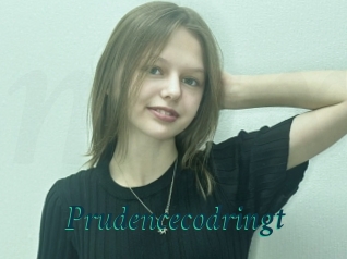 Prudencecodringt