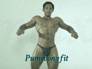 Pumebonyfit