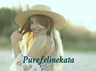 Purefelinekata