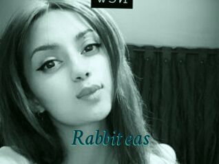 Rabbit_eas