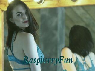 RaspberryFun