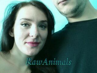 RawAnimals