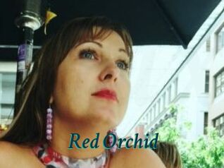 Red_Orchid