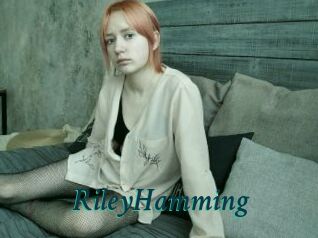 RileyHamming