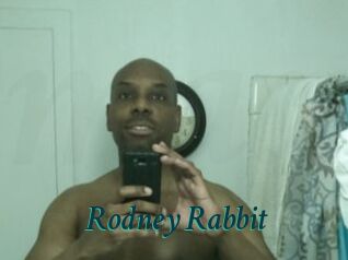 Rodney_Rabbit