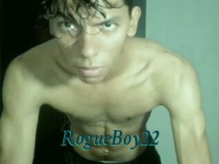 RogueBoy22