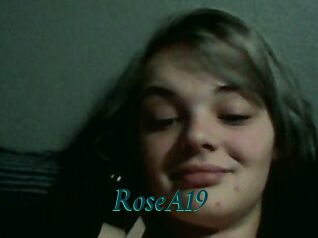 RoseA19