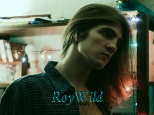 RoyWild