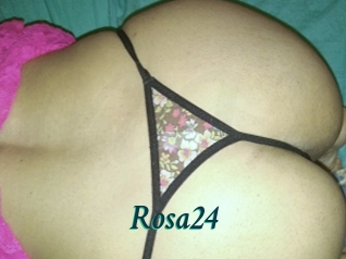 Rosa24