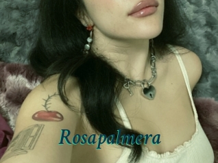 Rosapalmera