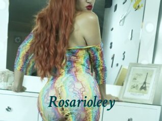 Rosarioleey