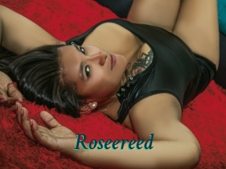 Roseereed