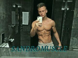 SANDRO_MUSCLE