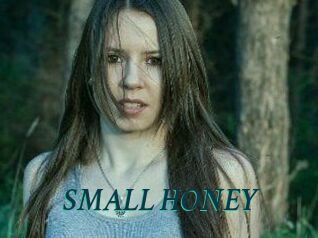 SMALL_HONEY