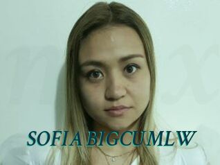 SOFIA_BIGCUMLW