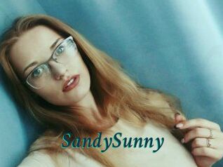 SandySunny