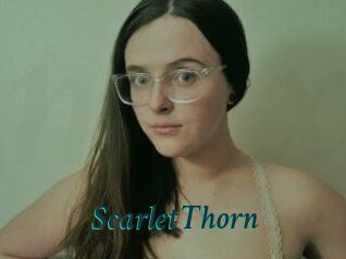 Scarlet_Thorn