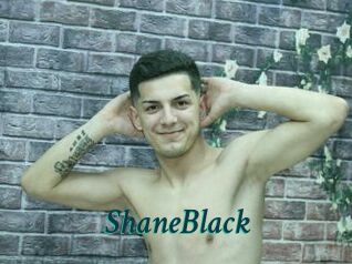 ShaneBlack