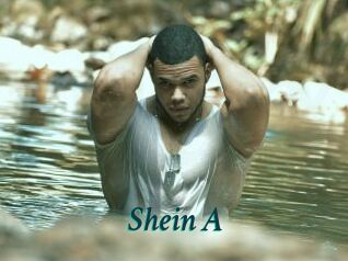 Shein_A