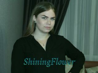 ShiningFlower