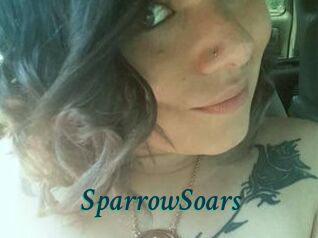 SparrowSoars