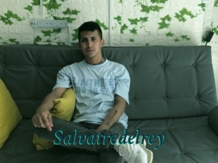 Salvatredelrey