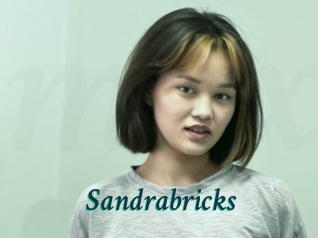 Sandrabricks