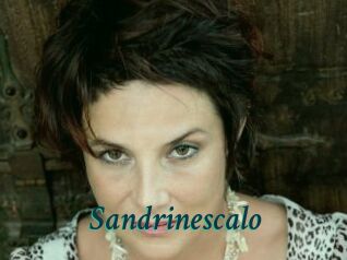 Sandrinescalo