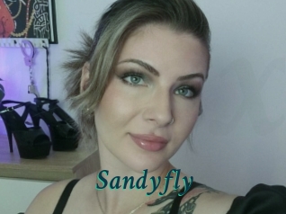 Sandyfly