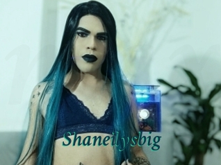 Shaneilysbig