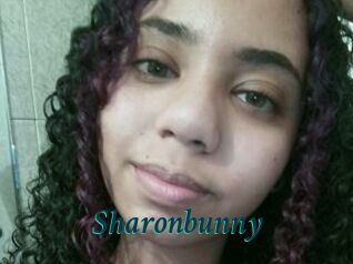 Sharonbunny