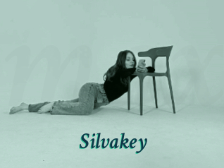 Silvakey
