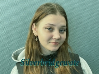 Silverbridgewate