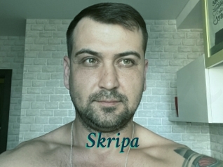 Skripa