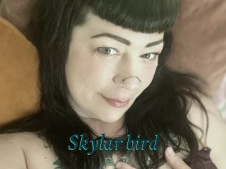 Skylar_bird