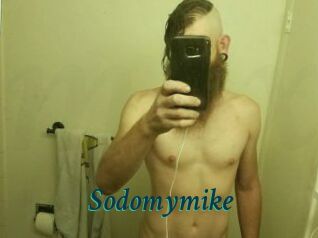 Sodomymike