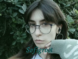 Sofigroot