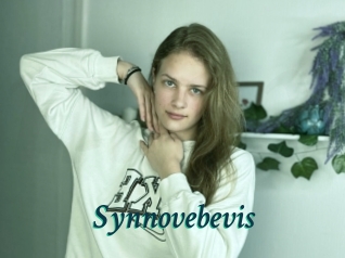 Synnovebevis